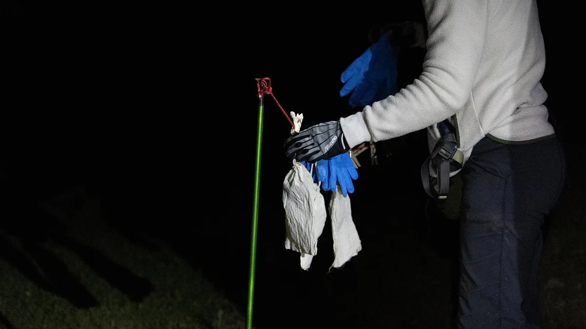 Post Release Monitoring
